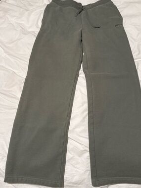 Aritzia Olive Sweatpant Joggers
